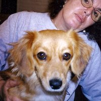 Carmelita picante (@giovannamuso) 's Twitter Profile Photo Carmelita picante (@giovannamuso) 's Twitter Profile Photo