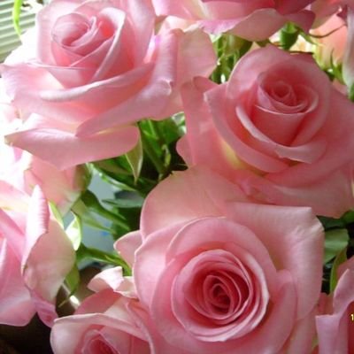 IsrailRuqaiya's profile picture. I am an Advocate and I believe dedication,hard working & honesty always give you good results