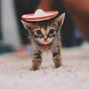 husta512's profile picture. Retired accountant. Not much else to share from this little box.