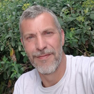 Ingeniero Técnico en Informática de Gestión, Community Manager, Scrum Master. Miembro del PMI, en proceso certificación PMO para el 2016.