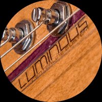 Luminous Guitars(@luminousguitars) 's Twitter Profile Photo