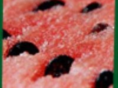 uoyocrds1245's profile picture. Через двадцть лет вы будете более сожалеть о ом, чего не сделали, чем о том, что вы сделали. Потому отбросьте сомнения..