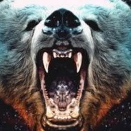 fwyzjzret1134's profile picture. 