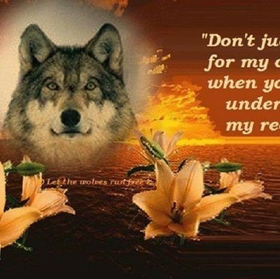 shanebecky29's profile picture. 