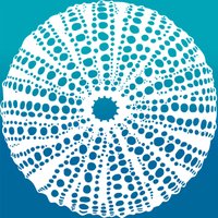 Asociación Procabo (@procabopalos) 's Twitter Profile