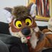 Euan (@euanwolf) Twitter profile photo Euan (@euanwolf) Twitter profile photo