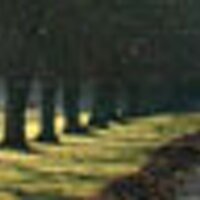 Get Website Traffic (@gwtraffic) 's Twitter Profile