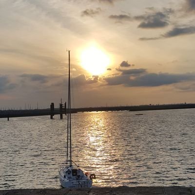 gaye54's profile picture. 