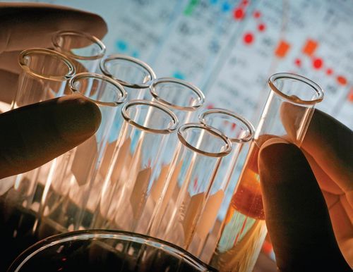 DiscoverySol's profile picture. Discovery Solutions is a recruiting and search firm distinctly focused on those industries we know best.