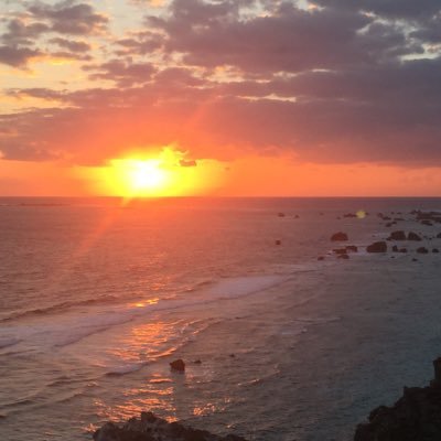 2wCngQx6ETCs8Tk's profile picture. 趣味ダイエット、特技リバウンド