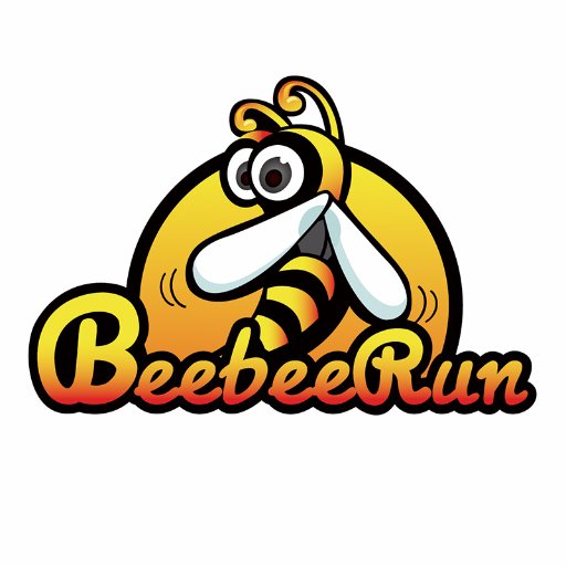 beebeerun drone