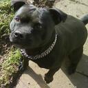 laura mcmurray - @laura_mcmurray - Twitter