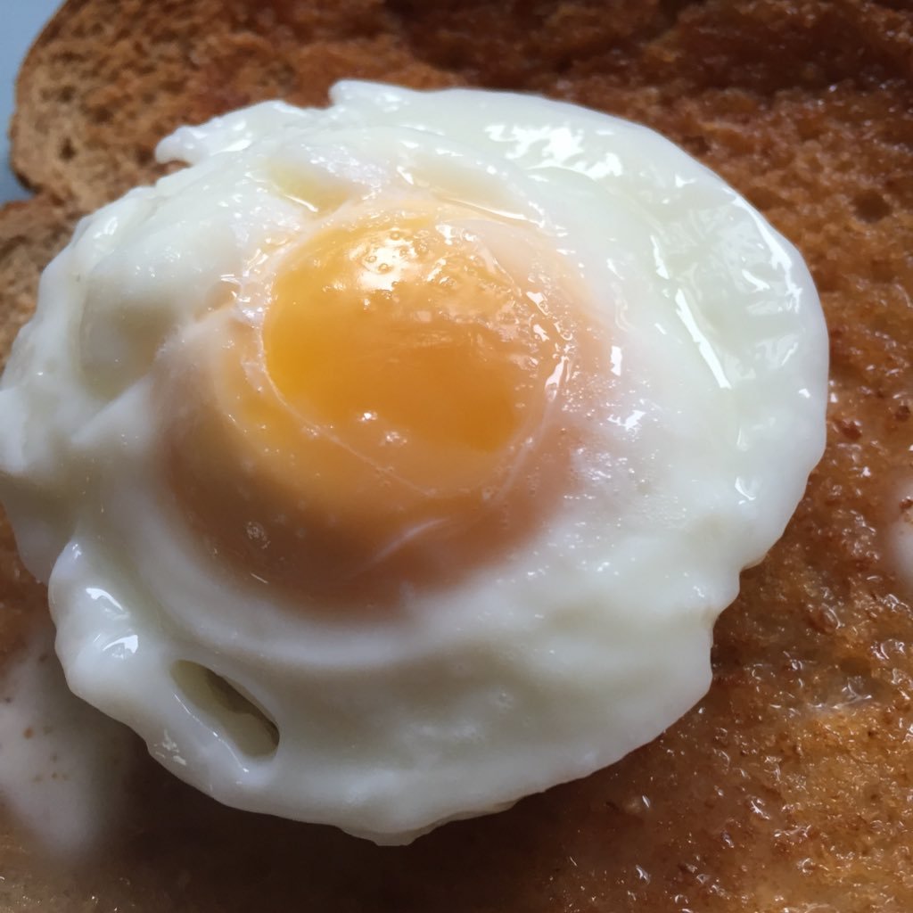 dippyeggfarmer's profile picture. *from my chicken coop to your egg cup* everyone loves a dippy egg!!! accompany me and my girls on our eggcellent adventures...