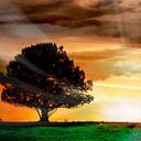 Jason Litke - @life777eternal - Twitter