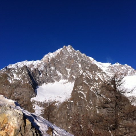 littlenewbury's profile picture. 