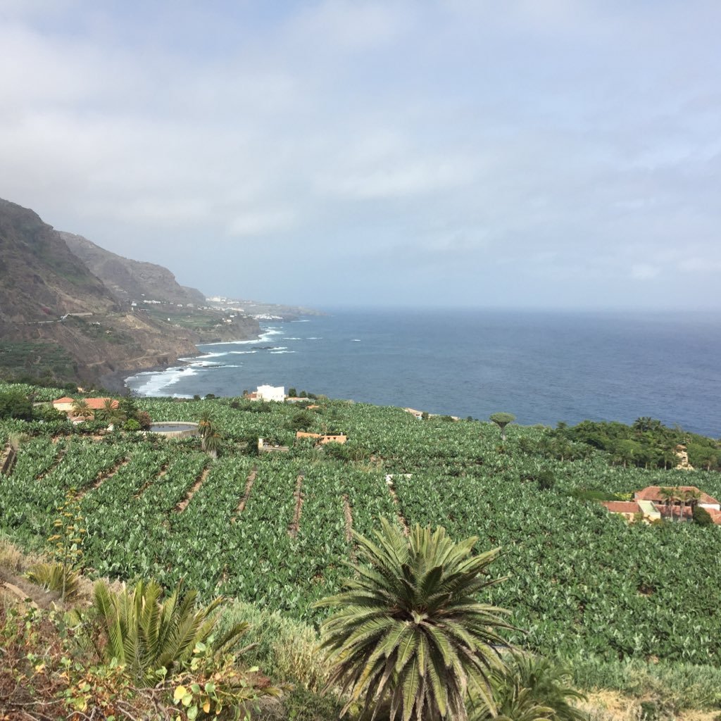 Empresa o particular que quiera ofertar su trabajo envíanos un email y estarás en una base de datos que te generará más negocio. oyetatotenerife@gmail.com