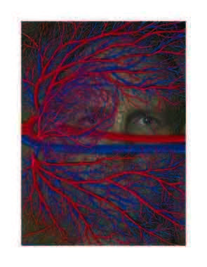 Andrew Carnie is an artist and lecturer; a studio-based practitioner working in time-based media, sculpture, and painting, often working on scientific topics.