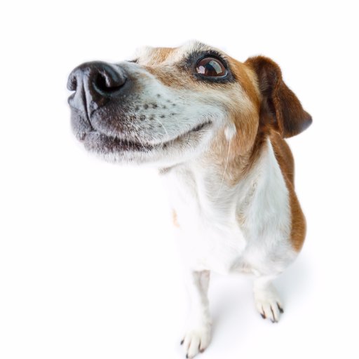 email_watcher's profile picture. Email markety-techy-contenty. Sidetracked easily. Usually by pics of dogs and Ricky Gervais. #emailmarketing #emailgeeks