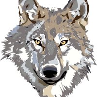 FutralRoadElementary(@FutralWolfPack) 's Twitter Profile Photo