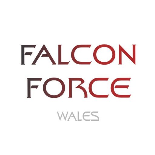 All-girls Ysgol Brynrefail F1 Team. Represented Wales in the F1 in Schools World Finals in Malaysia 2017🇲🇾 Business Enquiries- teamfalconbrynrefail@gmail.com