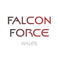 Falcon Force Wales (@falconforce2017) 's Twitter Profile