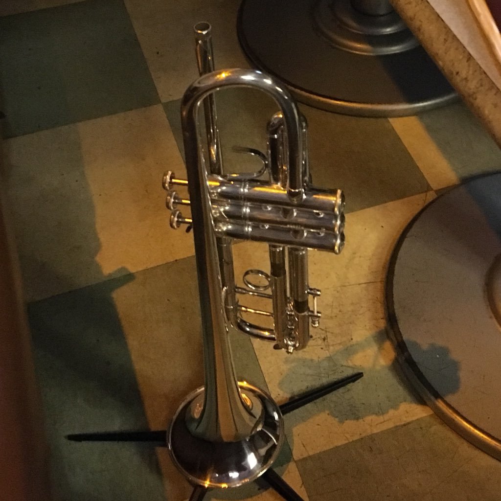 raparappa223's profile picture. 楽器吹いてます あとポケカもトリプレットビートのシールド戦から参入← 男の子と女の子のアラサーパパです