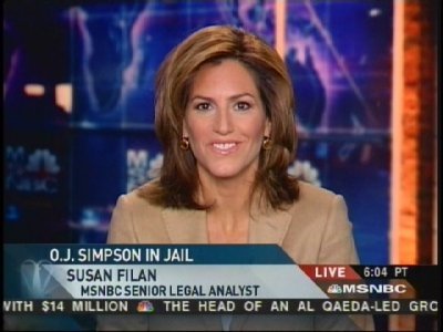 MSNBC Senior Legal Analyst, America's Lawyer, The Legal Voice of Reason, Writer, Legal Consultant for TV, Radio, Print and Internet