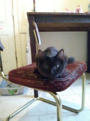 CastnetMichael's profile picture. Government & Politics