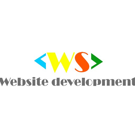 Website developer / Designer