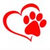 Bellamy Bobcats (@bellamy_bobcats) Twitter profile photo Bellamy Bobcats (@bellamy_bobcats) Twitter profile photo