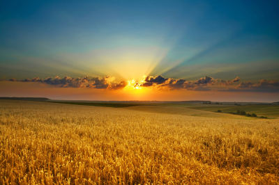 Arizona Acreage for sale by owner on very affordable terms.