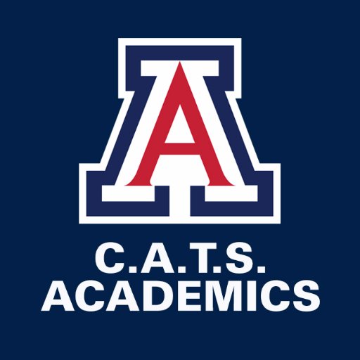 Building Academic Champions at the University of Arizona in the Ginny L. Clements Academic Center.