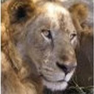 RijoJose2017's profile picture. 