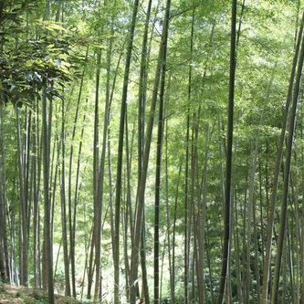 趣味でカメラやってる東方・原神・崩スタ好きな者です！ジャンル問わず撮らせて頂いてます〜！よろしくお願いします！！ アーカイブ：188840
完全不定休です。自分でもある程度自由にお写真載せたい人です。