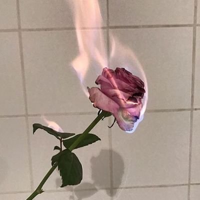 Daff_Torres1's profile picture. ♡