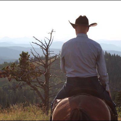 Family man, horse & dog lover, avid reader & gardener, author, retired TD executive, soccer, hockey & baseball fan.