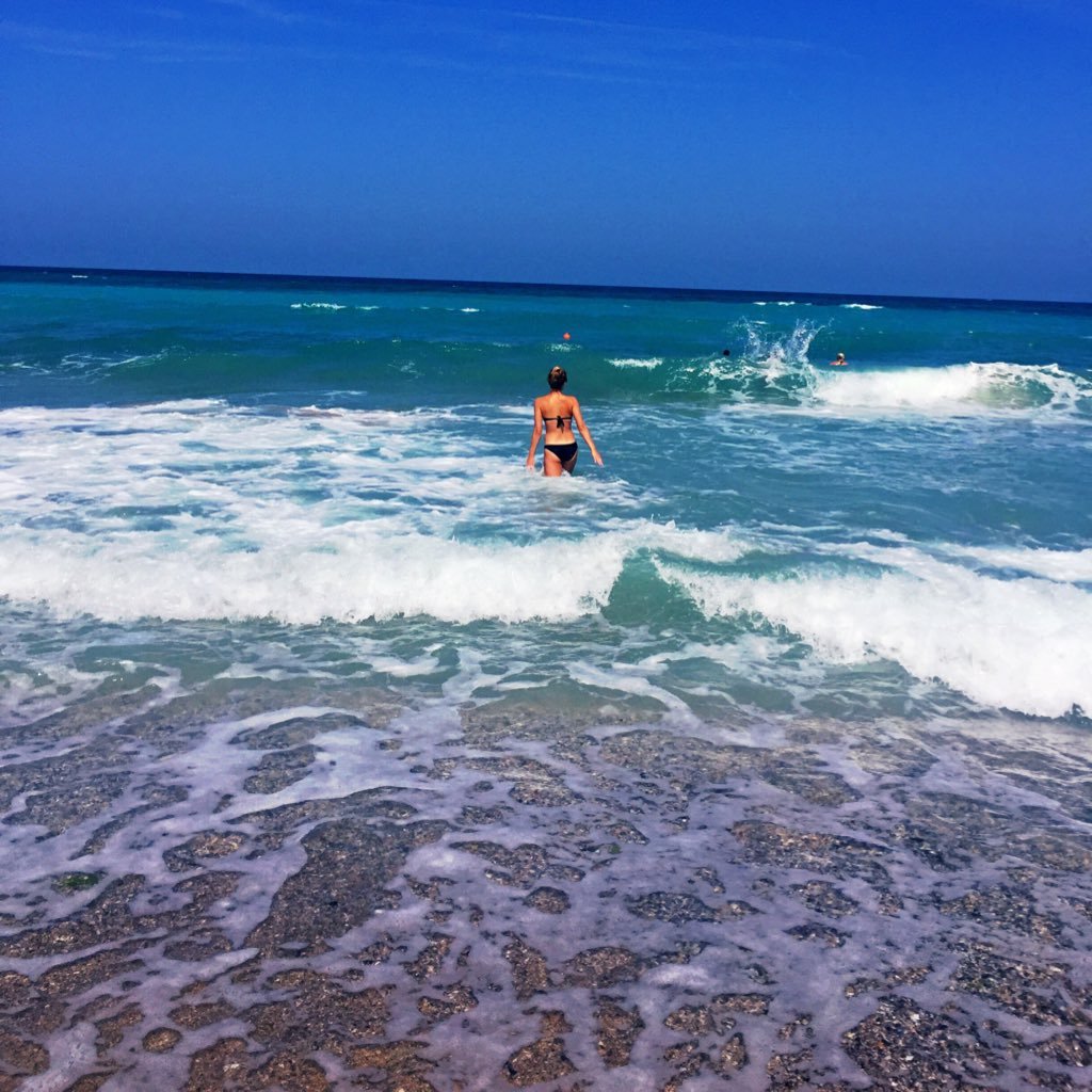 lisyonokkris's profile picture. 