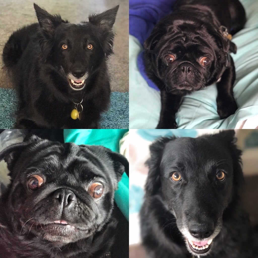 pea_princess_'s profile picture. 