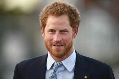 I am prince Harry Charles David, Grand child of queen Elizabeth ii, son of Princess Diana, crown prince of Wales United Kingdom, I love meeting people.
