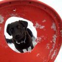 devon myers - @canardevents - Twitter