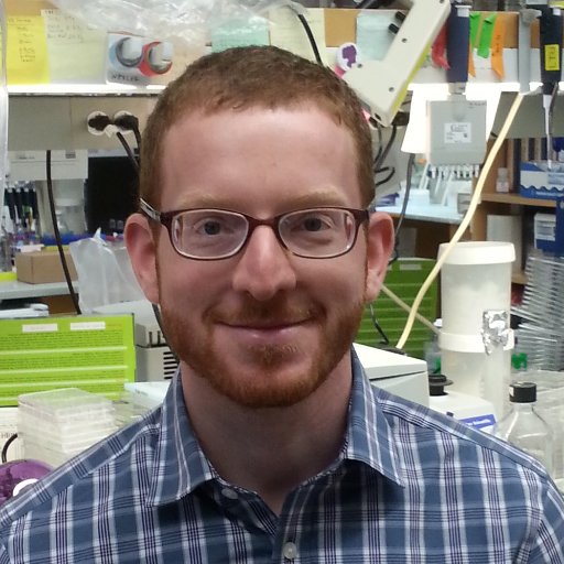 Jason Stein Profile