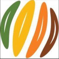 Seeds4Success (@seeds_4_success) 's Twitter Profile