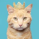 Christy Bingham - @cbingham1992 - Twitter