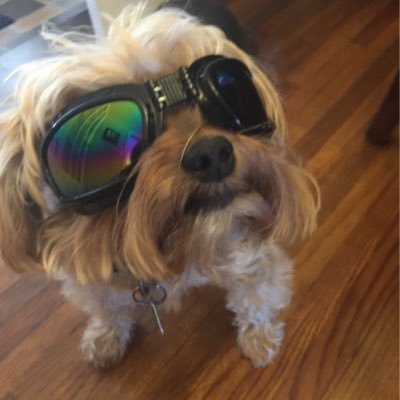 Cristian_AOS's profile picture. I try to follow the best and brightest minds! 25 yo