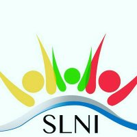 Silver Lining NG (@slning) 's Twitter Profile Photo