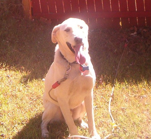 davesumner's profile picture. 