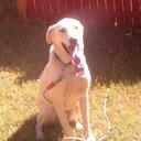 David Paul Sumner - @davesumner - Twitter