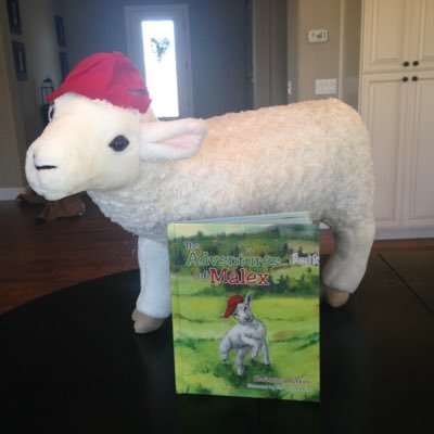 coxaitken's profile picture. 