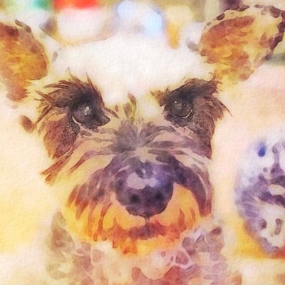 高橋紀恵 Norie Takahashi Twitter 高橋紀恵 Norie Takahashi Twitter