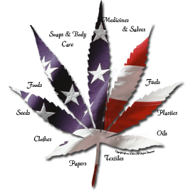 hempify's profile picture. 12 millennia and still growing strong and wild!